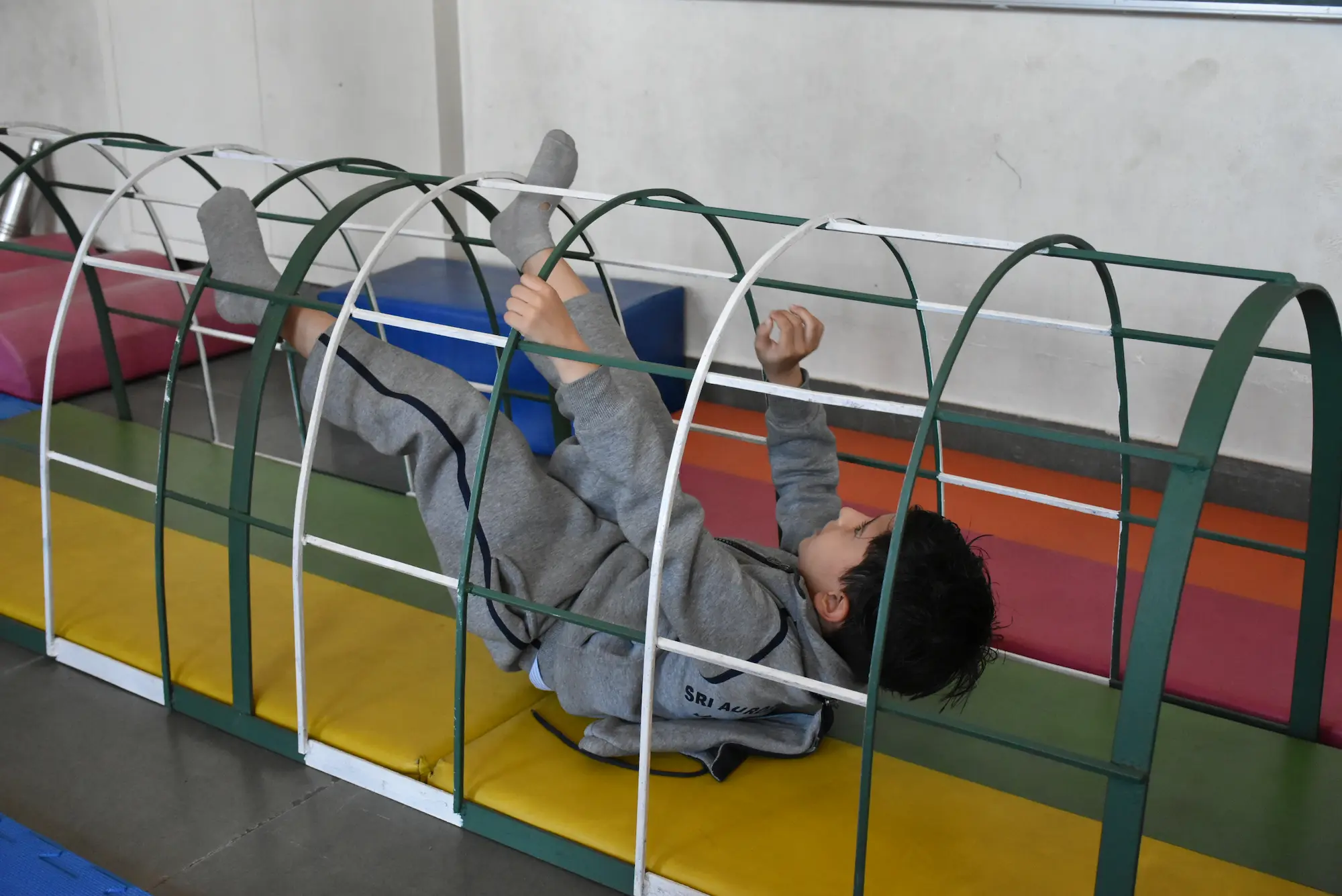 Montessori Apparatus